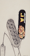 1969 - Dattelaehren Bleistift Gouache a Papier - 46x30cm